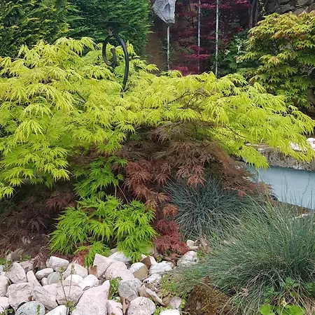 Luxury Sunset View Triest